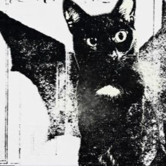 Meet your Posher, Mag - Picture 1 of 1